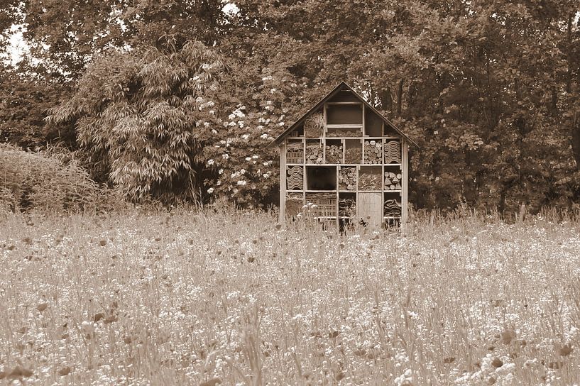 Insect hotel in sepia by Jose Lok