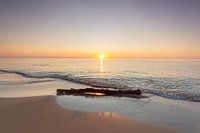 Oostzeestrand in Zweden