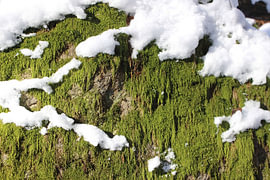 Rock Structures No. 03