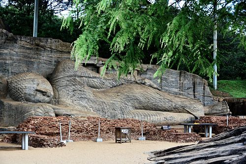 Gal Vihara: Eternal Buddhist Serenity