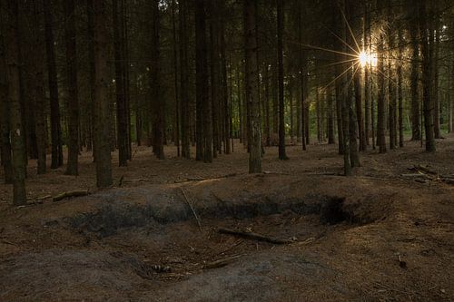 zonsondergang in het bos van Evert Jan Heijnen