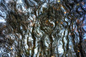Wald der Zweige von Jeannet Zwols  Fotografie
