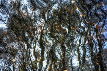 Forêt de branches sur Jeannet Zwols  Fotografie