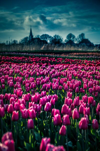Church of Oostwoud by peterheinspictures