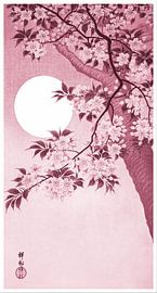 Cherry blossoms in the moonlight in coral red (Ohara Koson) by Studio Pieternel