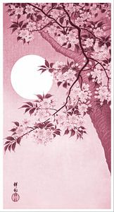 Blühende Kirschblüten im Mondlicht in Korallenrot (Ohara Koson)