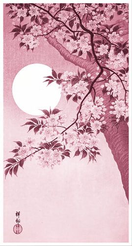 Blühende Kirschblüten im Mondlicht in Korallenrot (Ohara Koson)