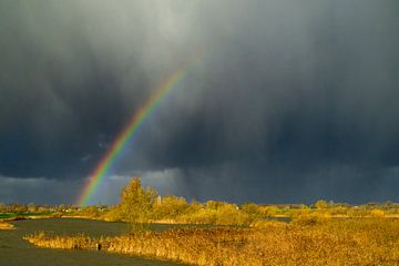 Regenboog tijdens een herfstbui boven de IJssel