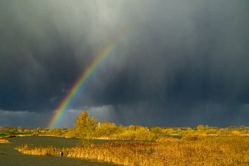 Arc-en-ciel lors d'une averse d'automne sur la rivière IJssel