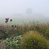 Nebelverhangener Garten mit violetten Blumen von Jose Lok