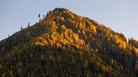 Herbst in den Dolomiten von Henk Meijer Photography Miniaturansicht