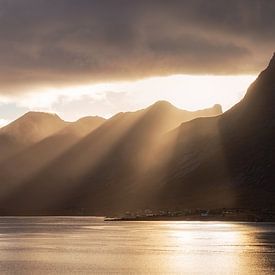 Golden sunbeams by Leon Brouwer