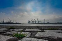Gezicht op de haven van Hamburg, kasseien op de voorgrond