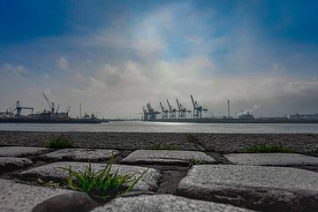 Gezicht op de haven van Hamburg, kasseien op de voorgrond van Andrea Gaitanides - Fotografie mit Leidenschaft