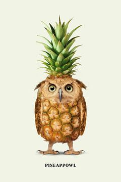 Pineappowl by Jonas Loose