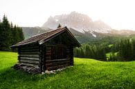 Wandern an der Zugspitze in Österreich. Mit kleiner Berghütte, Alpenhütte auf Weidewiese von Daniel Pahmeier Miniaturansicht