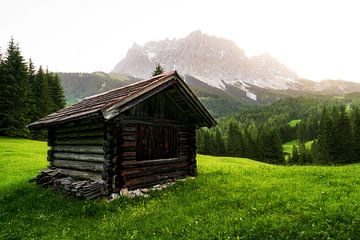 Wandern an der Zugspitze in Österreich. Mit kleiner Berghütte, Alpenhütte auf Weidewiese