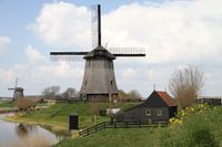 Molens in de Schermer