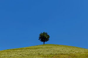 Minimalisme - 1