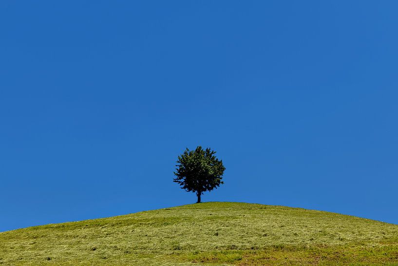 Drumlin Minimalisme, Zwitserland van Adelheid Smitt