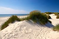 Idyllic North Sea beach