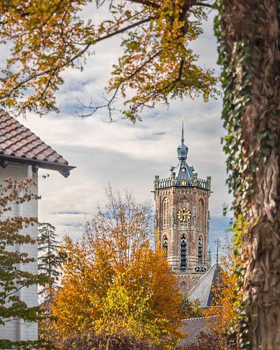 Autumn colours frame the Elster Tower. by Nicky Kapel