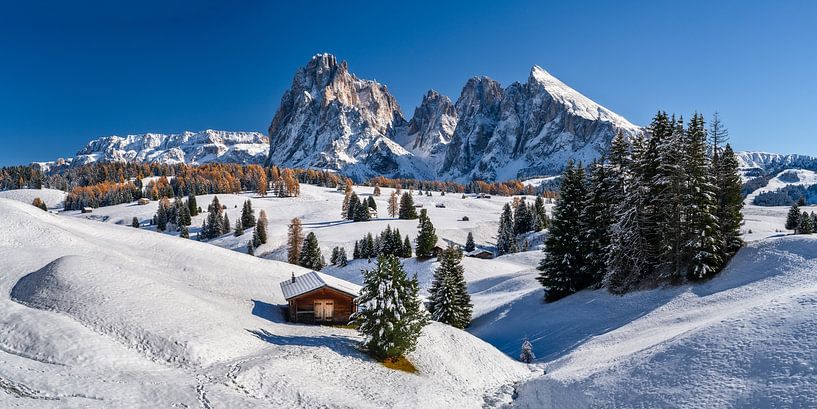 Romantisme des cabanes sur l'Alpe de Siusi dans le Tyrol du Sud par Achim Thomae Photography
