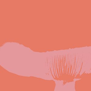 Spores in a fungus
