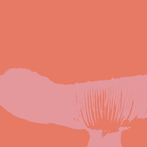 Spores in a fungus