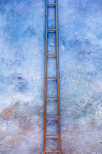 The Ladder by Erik Steen Redeker