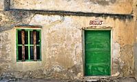 Door and window: Villa Belus