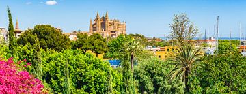 Spain Palma de Majorca, panorama  view of the Cathedral La Seu by Alex Winter