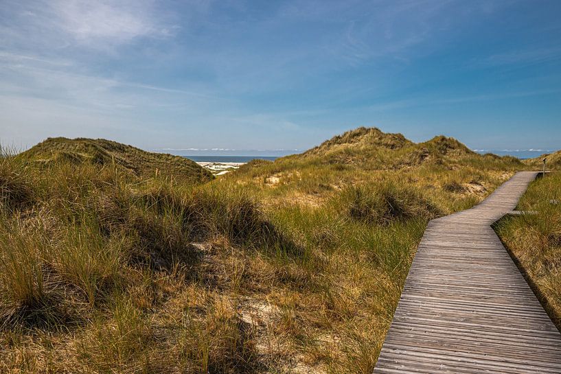 boardwalk to the beach of Norddorf on Amrum by Alexander Wolff