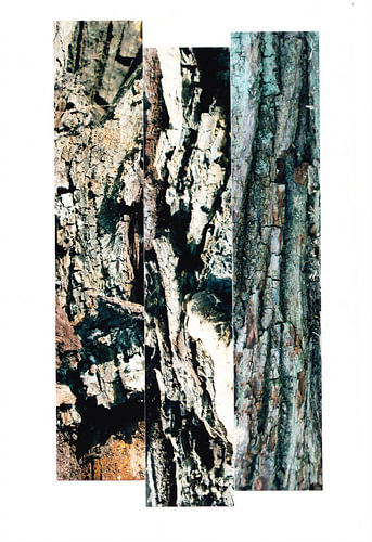 Structures en troncs d'arbres n° 21