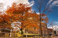 Herbst in Delft von Ilya Korzelius Miniaturansicht