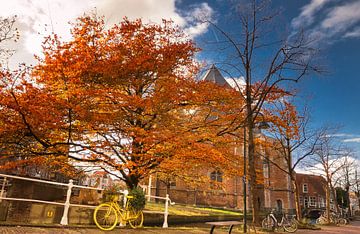 Herfst in Delft van Ilya Korzelius