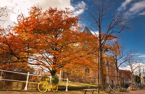 Herfst in Delft