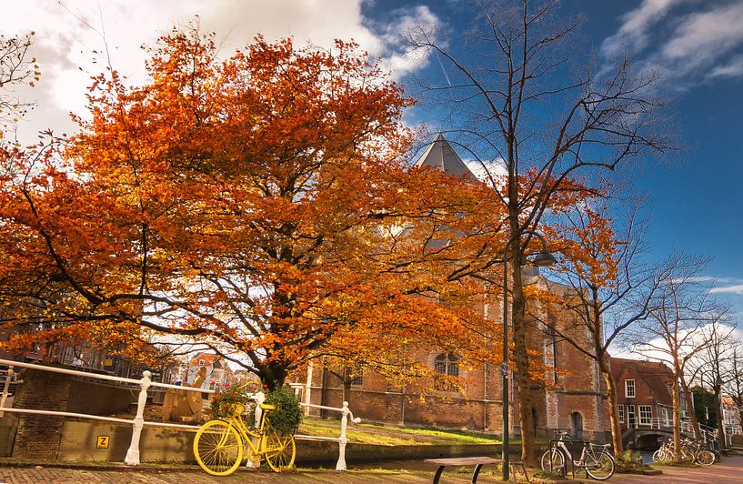 Herfst in Delft van Ilya Korzelius