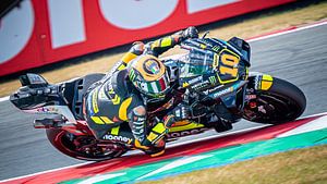 Luca Marini @ TT Assen - MotoGP no10 sur Martijn van Dellen