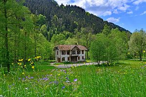 Altes Schwarzwald - Hotel
