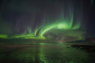 Aurora Borealis - Northern Lights van Babs Boelens