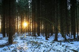 Coucher de soleil dans la forêt d'hiver (Pays-Bas) sur Marcel Kerdijk