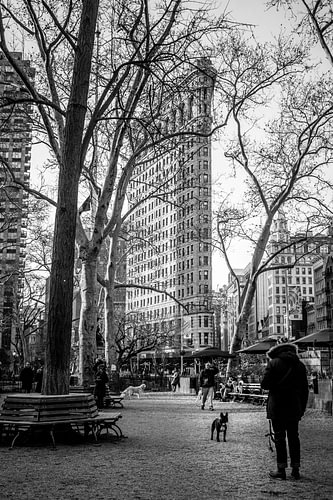 Spaziergang mit dem Hund — Flatiron, New York