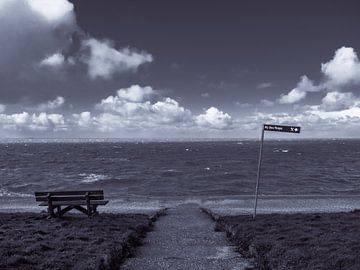 Uitwaaien aan de Waddenzee