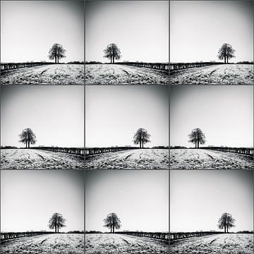Lonelytree-Collage von Rob van der Pijll