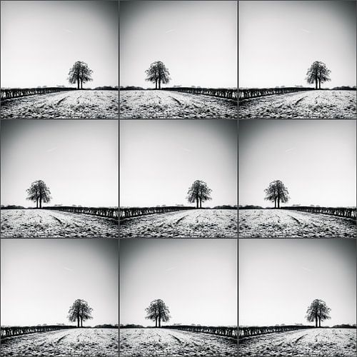 Lonelytree-collage