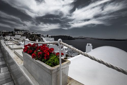 santorini flowers