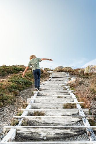 Le Chemin Doré | Aventure dans la Nature Suédoise