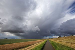 Carel Coenraadpolder III von Fonger de Vlas