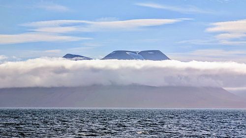 Spitsbergen, motief 7